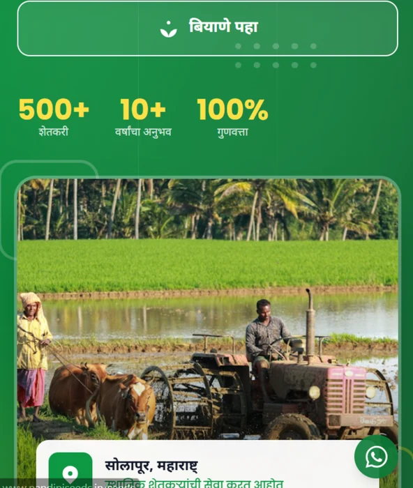 Nandini Seeds — Agriculture website design preview